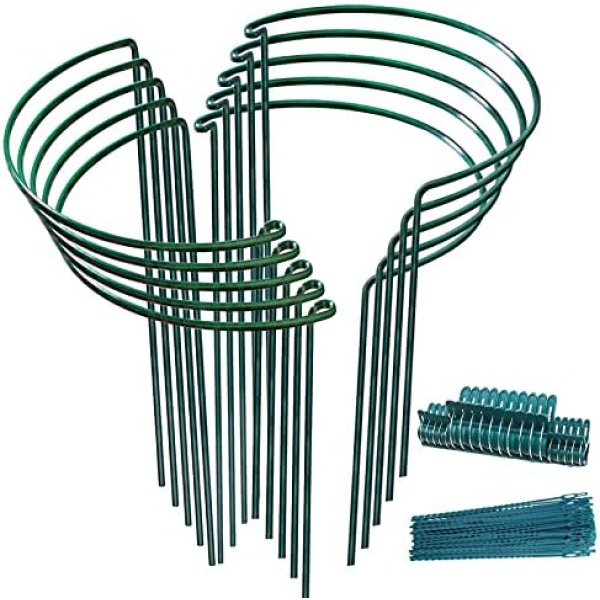 10pack Garden Plant Support Stake 10" Wide x 16" High Half Round Metal Garden Plant Support Ring Border Support, Plant Support Ring Cage for RoseFlowers Vine Tomato with 20pack Plant Clips &Plant Ties