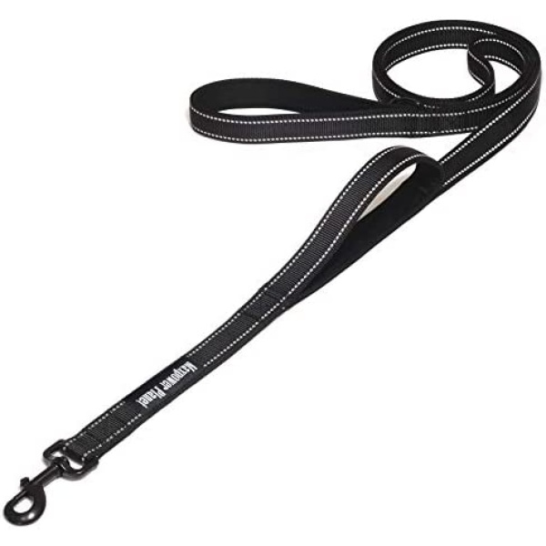 Maxpower Planet Heavy Duty Dog Leash 6ft Long with Double Traffic Handle Reflective Black - Perfect for Medium to Large Dogs