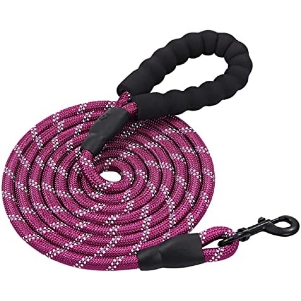 PETESCORT 6FT/10FT Strong Dog Leashes with Comfortable Padded Handle and Highly Reflective Threads for Small Medium and Large Dogs (10 Feet x1/2'' (Pack of 1), Purple)