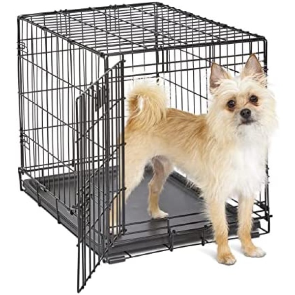 Small Dog Crate | MidWest iCrate 24" Folding Metal Dog Crate | Divider Panel, Floor Protecting Feet, Leak-Proof Dog Tray | 24L x 18W x 19H Inches, Small Dog Breed, Black