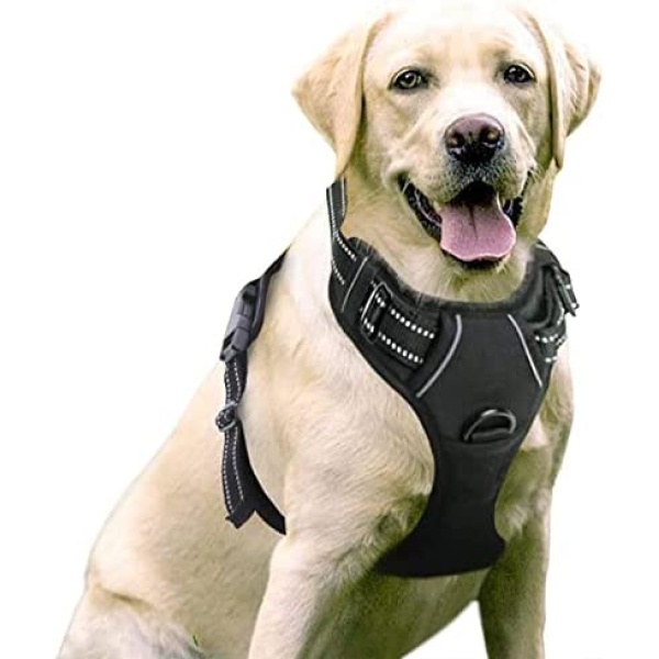 rabbitgoo Dog Harness, No-Pull Pet Harness with 2 Leash Clips, Adjustable Soft Padded Dog Vest, Reflective No-Choke Pet Oxford Vest with Easy Control Handle for Large Dogs, Black, L