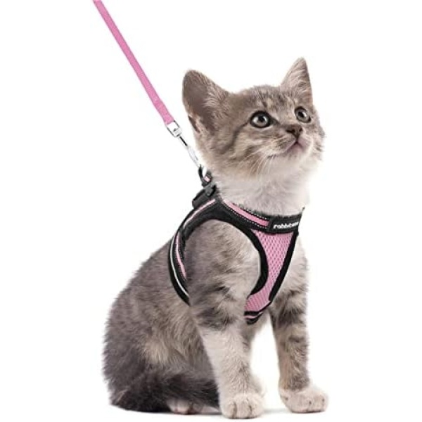 rabbitgoo Cat Harness and Leash Set for Walking Escape Proof, Adjustable Soft Kittens Vest with Reflective Strip for Cats, Comfortable Outdoor Vest, Pink, Small