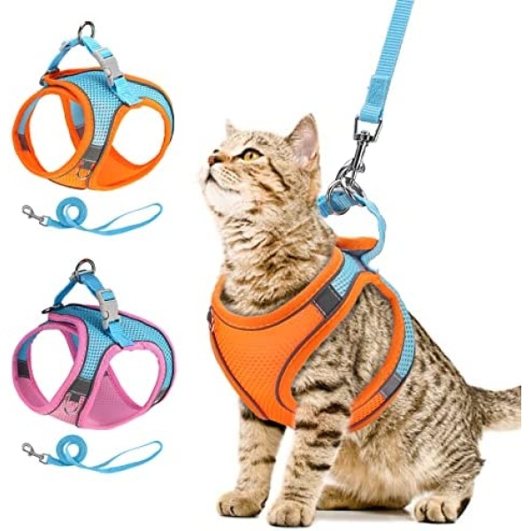 AMIR Cat Harness and Leash, Stylish Cat Leash Escape Proof, Adjustable, Reflective Strap, Breathable, Suitable for 6-10 Pounds of Cats and Small Dogs- Orange, XS