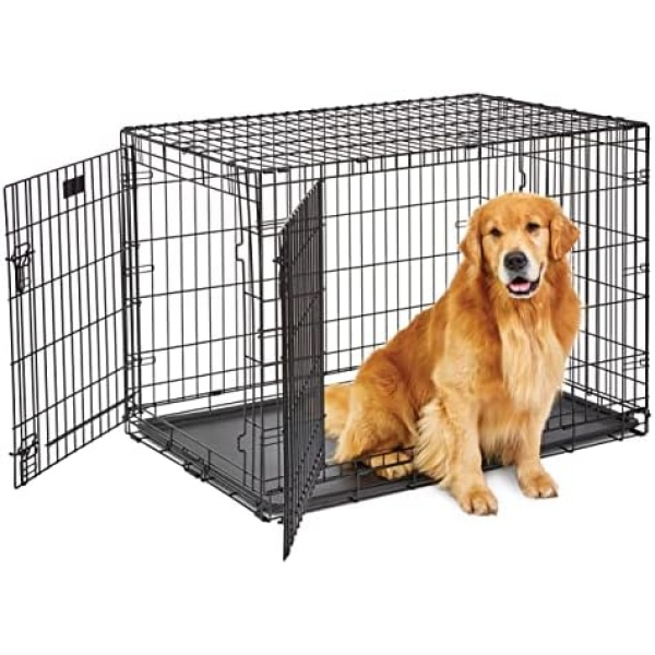 Large Dog Crate | Midwest Life Stages Double Door Folding Metal Dog Crate | Divider Panel, Floor Protecting Feet, Leak-Proof Dog Tray | 42L x 28W x 31H Inches, Large Dog Breed