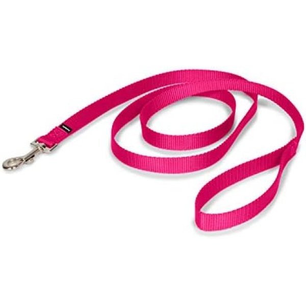 PetSafe Leash, 3/4" x 6', Medium, Raspberry Pink