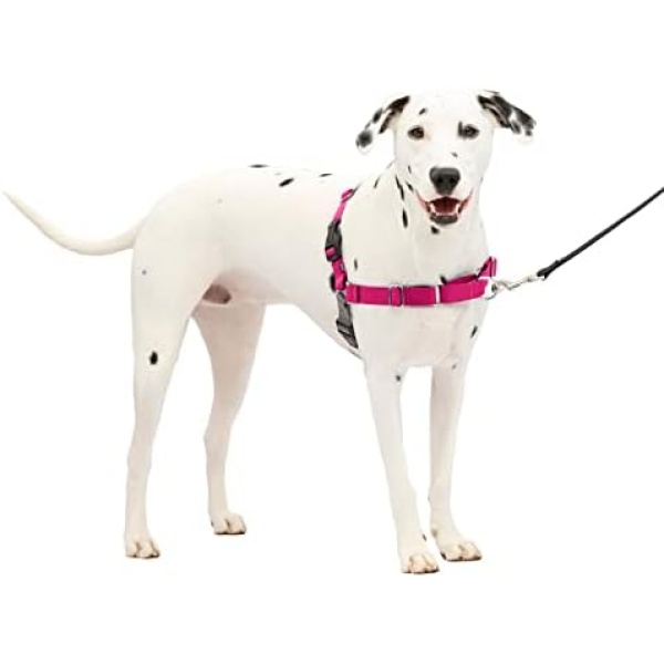 Petsafe Easy Walk Dog Harness, No Pull Dog Harness, Raspberry/gray, Medium/large(pack of 1)