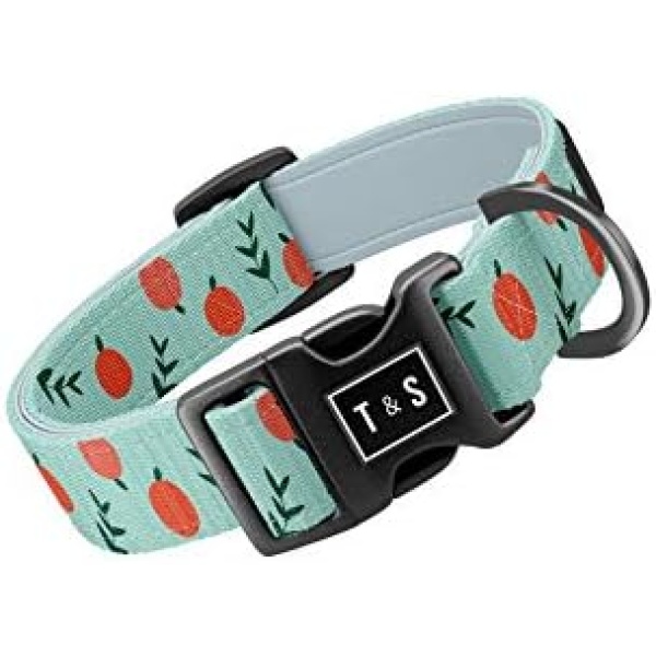 Tella & Stella-Dog Collars for Medium Dogs-Adjustable Nylon Collar-13 in to 18 in Wide-Soft on Dog’s Fur-Lined with Neoprene for Comfort-Chrome D Ring for Hooking The Leash (Peach,Medium)