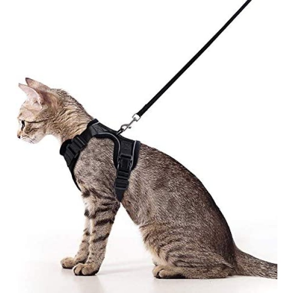 rabbitgoo Cat Harness and Leash for Walking, Escape Proof Soft Adjustable Vest Harnesses for Small Medium Cats, Easy Control Breathable Reflective Strips Jacket, S, Black