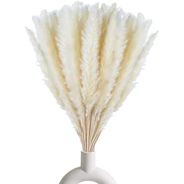 30 Pcs White Pampas Grass,17 inch/45 cm Natural Dried Pampas Grass Branches Decor for Home Kitchen Garden Party Photographing Flower Arrangement Vase Decor