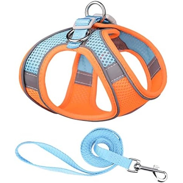 AMIR Cat Harness and Leash, Stylish Cat Leash Escape Proof, Adjustable, Reflective Strap, Breathable, Suitable for 10-13 Pounds of Cats and Small Dogs- Orange, S