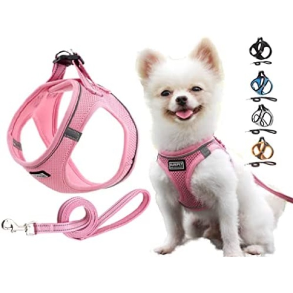 JdotMIN No Pull Cat and Dog Harness and Leash Set, for Extra Small to Small Breed, Lightweight Breathable Reflective Strips, Walking Escape Proof Soft Kitten Puppy Harness, Easy Control, Step In Pet Vest Jacket (Pink, S)