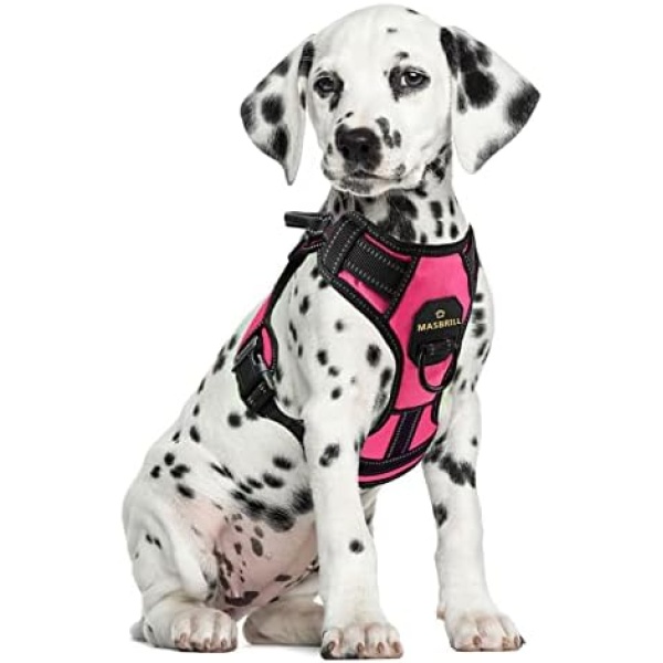 MASBRILL No Pull Dog Harness, No Choke Pet Vest Harness with Front and Back 2 Lead Clips, Adjustable Soft Padded Dog Vest with Easy Control Handle for Small Medium Large Dogs,M(Neck:15 inch -22 inch /Chest:23 inch -30 inch )