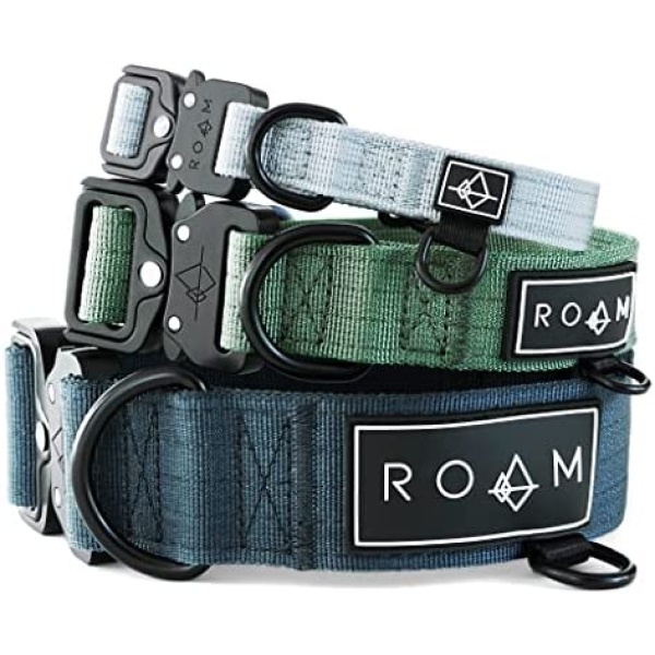 Made to ROAM Premium Dog Collar - Adjustable Heavy Duty Nylon Collar with Quick-Release Metal Buckle (California Horizon, Size 0)