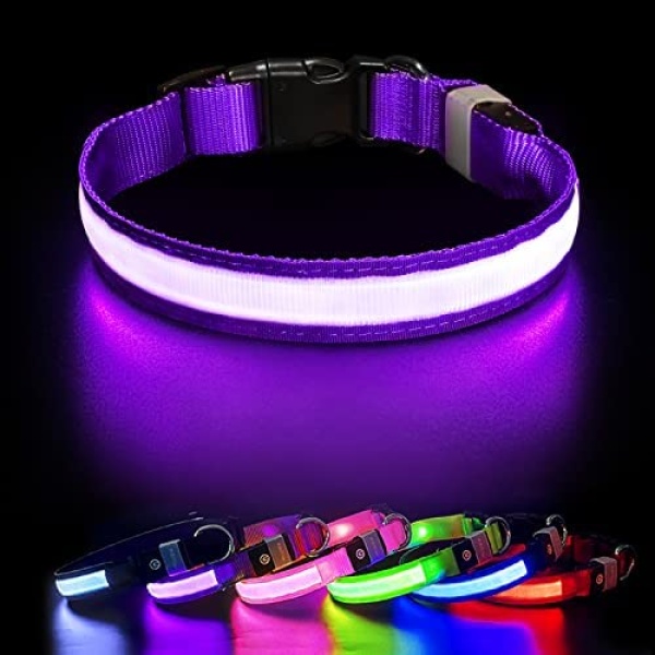 PcEoTllar Light Up Dog Collars, LED Dog Collar Rechargeable Purple Lighted Dog Collar Waterproof Dog Lights for Night Walking RGB Colorful Flashing Dog Collar for Small Medium Large Dogs-Purple-M