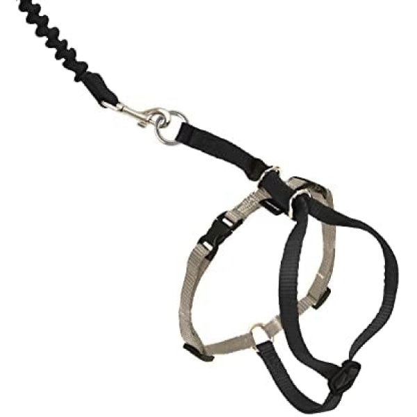 PetSafe Come With Me Kitty Harness and Bungee Leash - Large - Black/Silver