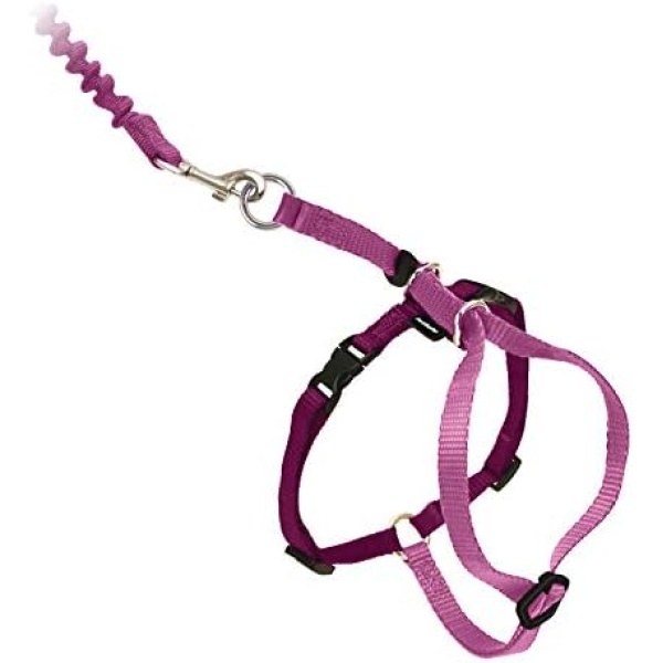 PetSafe Come with Me Kitty Harness and Bungee Leash, Medium, Dusty Rose