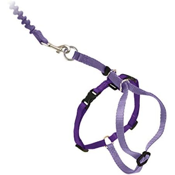 PetSafe Come with Me Kitty Harness and Bungee Leash, Small, Lilac/Bright Purple