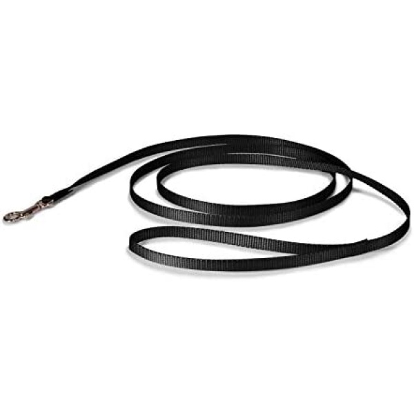 PetSafe Nylon Leash, 3/8-Inch X 6-Feet, Black