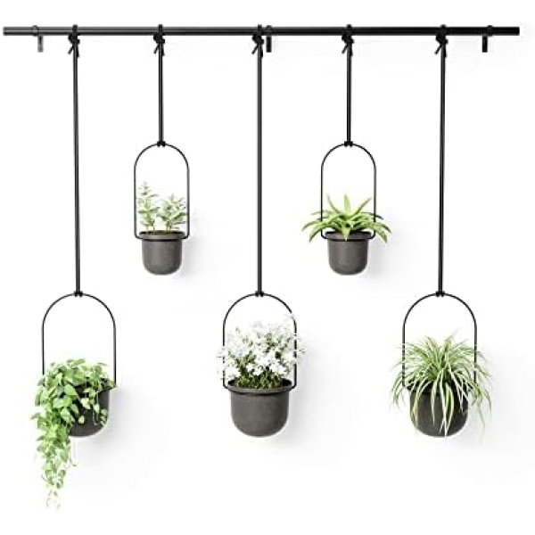 Umbra Triflora Hanging Planter, Set of 5, Black