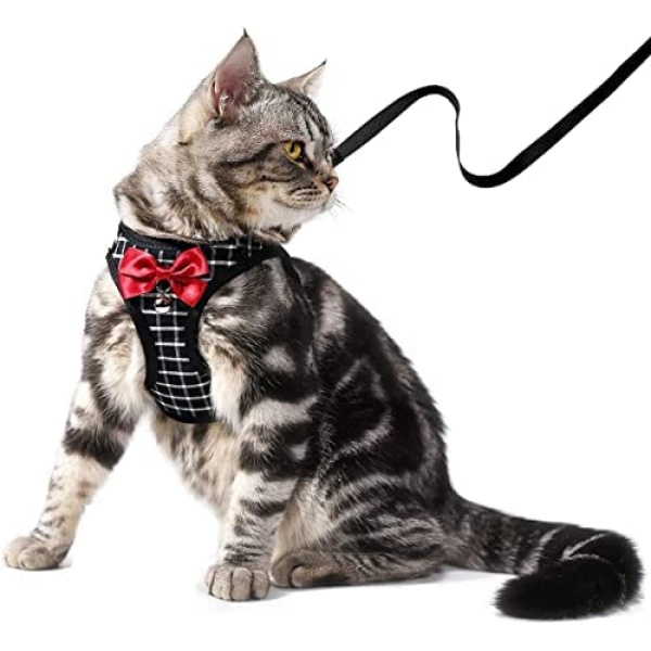 BLUWTE Cat Harness and Leash Set for Escape Proof,Breathable Dog Harness,Pet Harness,Adjustable Mesh Vest Harness for Puppy Cats Rabbit (Black, M)