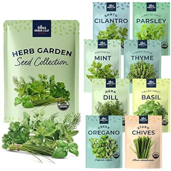 Herb Garden Seeds for Planting Canada | Indoor Herb Garden Starter Kit | Variety Pack for Planting Indoor or Outdoor | Organic, Non GMO Seeds | Grow Basil, Cilantro, Mint and More