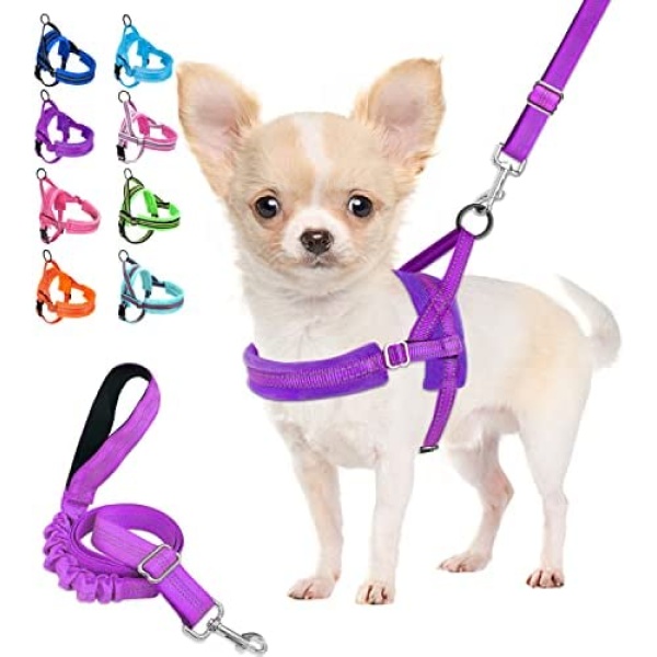 Lukovee Walking Dog Harness and Leash, Heavy Duty Adjustable Puppy Harness Soft Padded Reflective Vest Harness Anti-Twist 4FT Pet Lead Quick Fit Lightweight for Small Dog Cat (XX-Small, Purple)