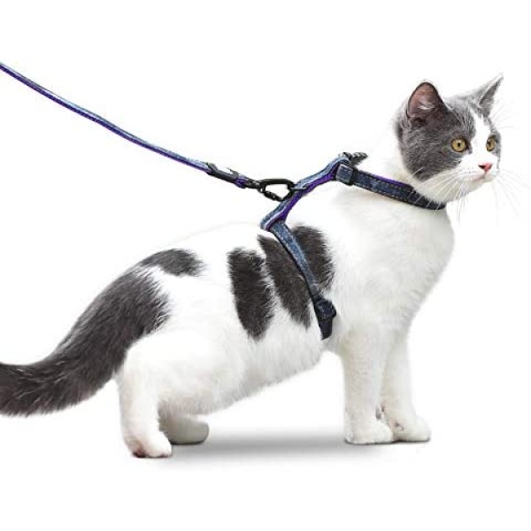 Texsens Cat Harness and Leash Set - Escape Proof Adjustable Soft H-shped Safety Strap Harness Rope with Safety Buckle for Pet Cats Kitten Walking Outdoor (Extra Small, Denim Blue - Purple)