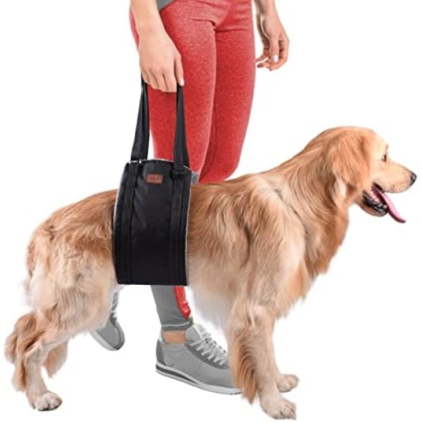 Dog Sling for Back Legs - Dog Lift Harness - Makes Lifting Rear Legs of Large Dogs Easier - Comfortably Supports Back Legs and Hips - for Elderly Or Handicapped Dogs