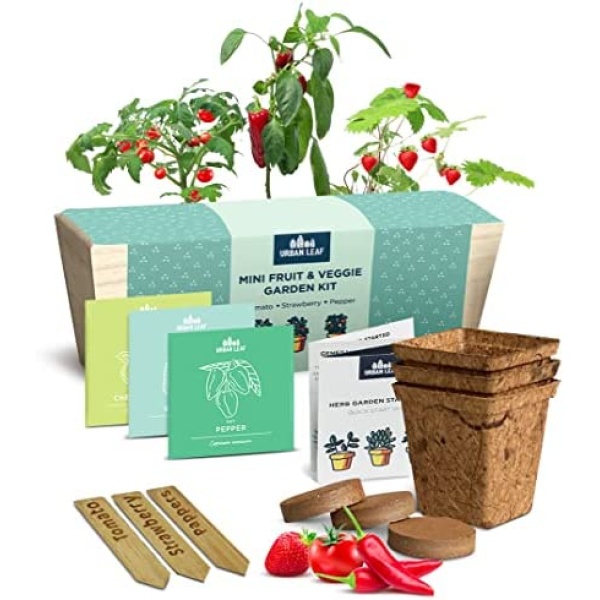 Herb Garden Kit Indoor – Indoor Herb Garden Starter Kit – Dwarf Tomato, Chili Pepper and Eggplant Plant Seeds – Sturdy Reusable Planter, Enriched Soil & Bamboo Labels – Indoor Garden Kit