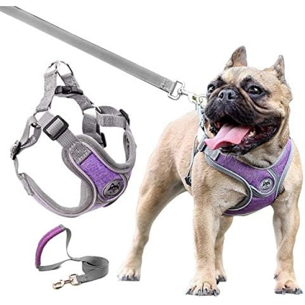 JdotMIN Harness for Dogs and Cats, No Pull Dog Harness Small Medium, Adjustable Reflective Pet Puppy Step in Harnesses Vest, Easy Walk Soft Breathable Padded Dog Leash Set (Purple, M)