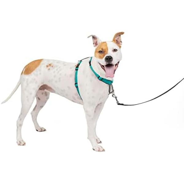 Petsafe 3 In 1 Dog Harness - No Pull Solution for Dogs - Reflective Dog Harness - Front D-ring Clip Helps Stop Pulling - Comfortable Padded Straps - Top Handle Enhances Control - Teal - Medium