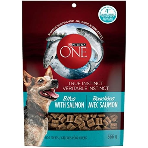 Purina ONE True Instinct Bites with Salmon, Natural Dog Treats - 566 g