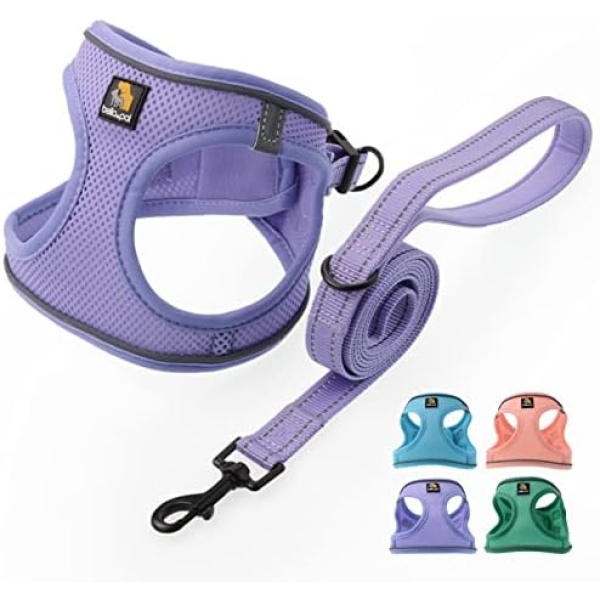 BELLA & PAL Step in Vest Harness for Small and Medium Dogs, No Pull Small Dog Harness with Leash Set, Comfortable Air Mesh Dog Vest Harness with Reflective Strip, Purple, S