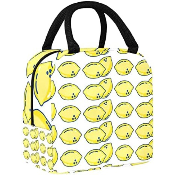 Delicious Lemons Organic Fruit Fresh meal kit reusable lunch box refrigerated insulated lunch box office school picnic insulation