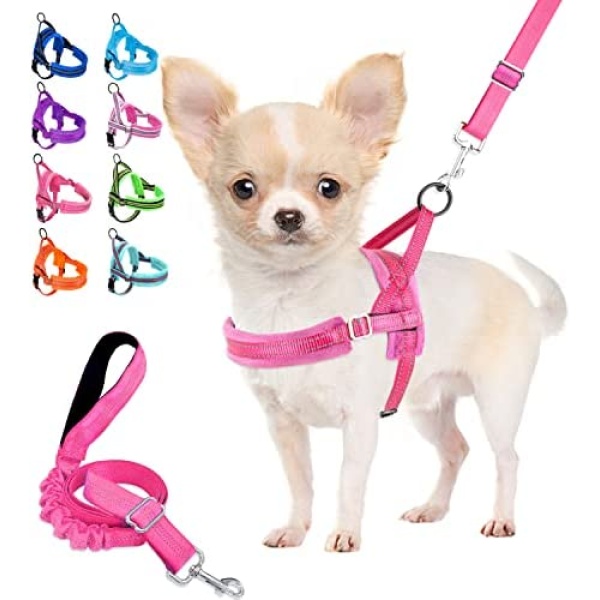 Lukovee Walking Dog Harness and Leash, Heavy Duty Adjustable Puppy Harness Soft Padded Reflective Vest Harness Anti-Twist 4FT Pet Lead Quick Fit Lightweight for Small Dog Cat (XX-Small, Pink)