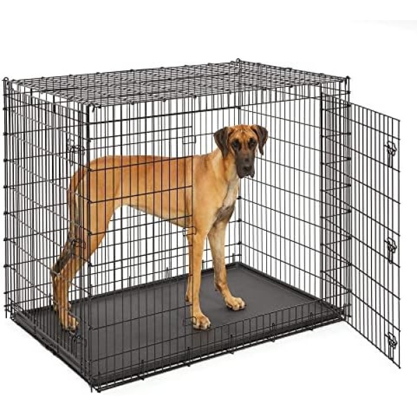 MidWest Homes for Pets XXL Dog Crate Ginormous 54-Inch Double Door Dog Crate Super Strong Crate for The Largest Dog Breeds - 54L x 37W x 45H Inches & Weighs 80.2 pounds