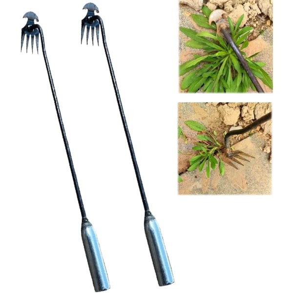 2023 New Weeding Artifact Uprooting Weeding Tool, Premium Manganese Steel Forged Weed Puller 4 Teeth Dual Purpose Weeder, Hand Weeder Tool for Gardening with Long Handle (2PCS Iron Handle 12 lnch)