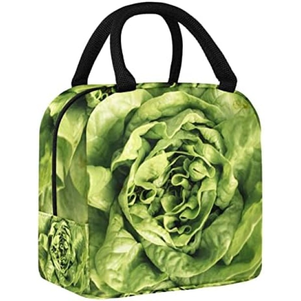 Fresh Green Salad meal kit reusable lunch box refrigerated insulated lunch box office school picnic insulation