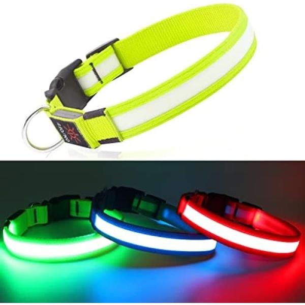 Light Up Dog Collar Led Light Dog Collar USB Rechargeable, Glow in the Dark Dog Collar for Light Up Your Dog at Night, Lighted Dog Collar for Dog Night Walking,Camping. Collier Lumineux Pour Chien. (Green-Pure, Medium)