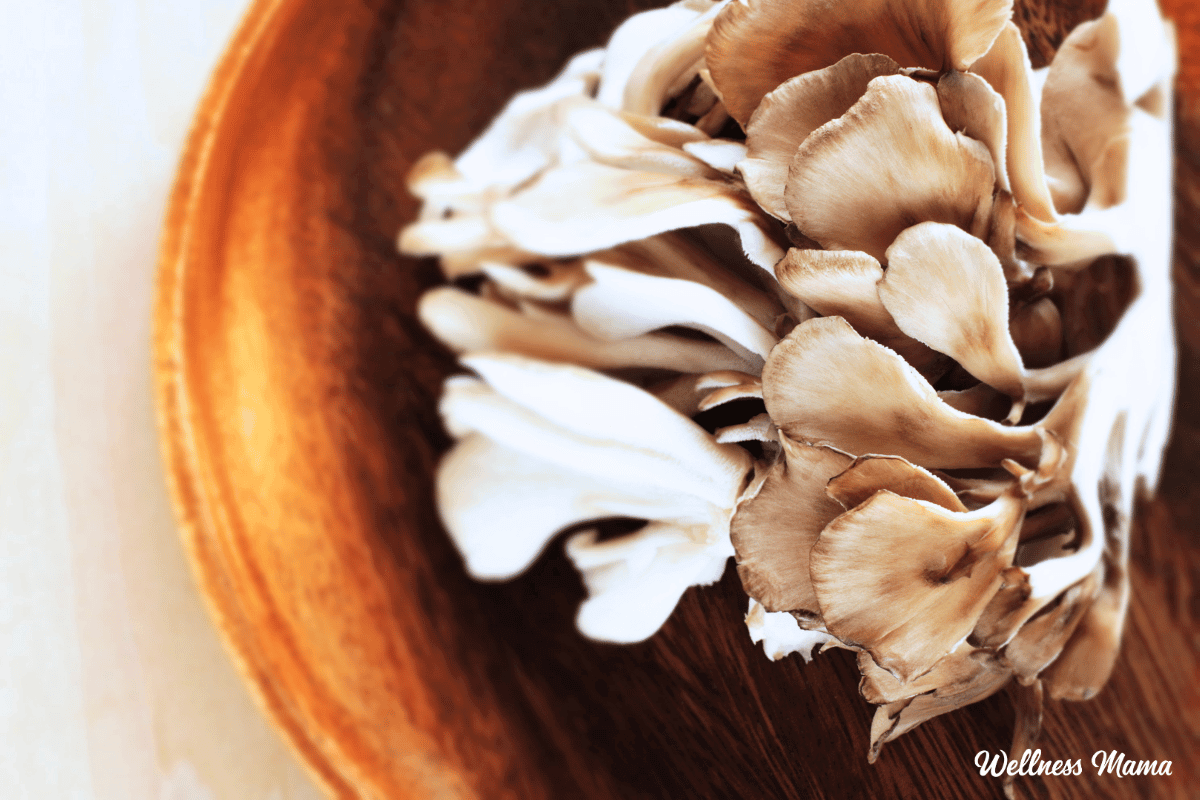 maitake mushroom