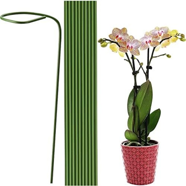 Plant Support Stake 40cm Plant Sticks Steel Garden Plant Stakes Floral Stick Single Stem Support Stakes for Garden Potted Plant Home Flower Shop 20pcs