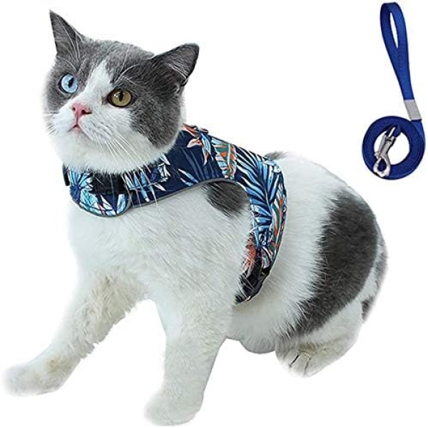 Dimerryi Cat Harness and Leash for Walking Escape Proof Reflective Adjustable Vest Harness Outdoor Breathable Mesh Jacket for Cat Small Dog with Innovative Anti-Lost Cards