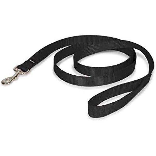 PetSafe Nylon Leash, 1-Inch X 6-Feet, Black