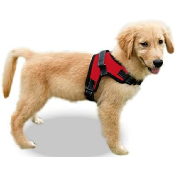 (X-Small, Red) - Copatchy No Pull Reflective Adjustable Dog Harness With Handle