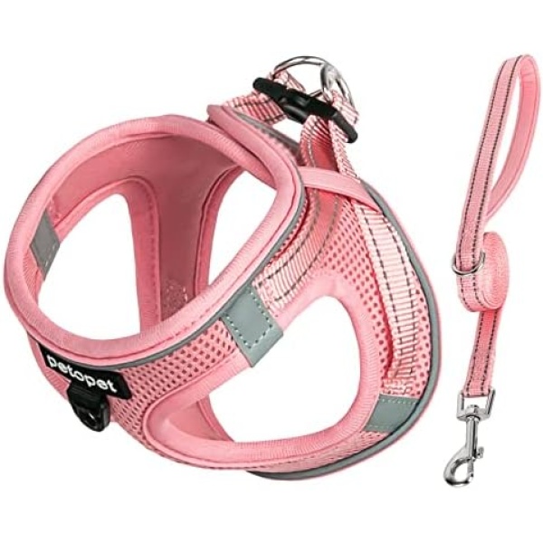 petopet Dog Harness and Leash Set, Small Breed Pet Vest Harness with Soft Paded Air Mesh Adjustable Buckles Metal Ring No Pull for Small Medium Dogs Puppy, Pink, S