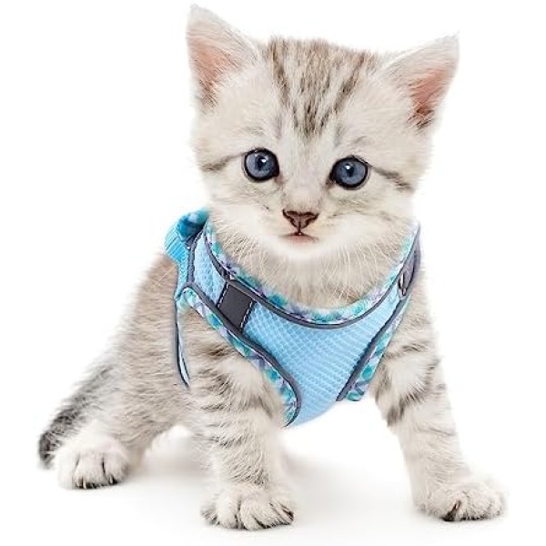 AMIR Cat Harness for Walking, Cat Harness and Leash Escape Proof, Adjustable Vest Harness for Small Medium Cats, Breathable Reflective Strips Harness- Blue, XXS