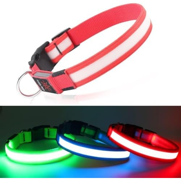 DQGHQME Light Up Dog Collar Led Light Dog Collar USB Rechargeable, Glow in The Dark Dog Collar Lighted Dog Collar for Night Walking,Collier Lumineux Pour Chien(Red-Pure, Medium)