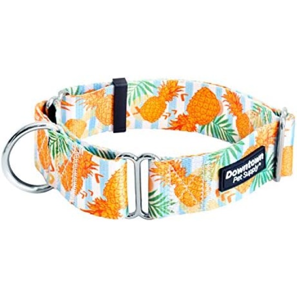 Downtown Pet Supply - Martingale Collar for Dogs - Dog Training Collar - Big, Wide & Thick Dog Collar - Escape-Proof, Weatherproof, Durable and Comfortable - Pineapple - Medium Dog Collar