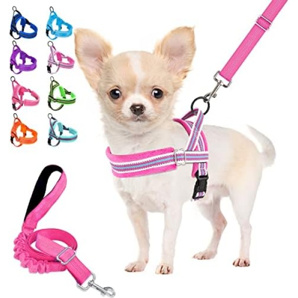 Lukovee Walking Dog Harness and Leash, Heavy Duty Adjustable Puppy Harness Soft Padded Reflective Vest Harness Anti-Twist 4FT Pet Lead Quick Fit Lightweight for Small Dog Cat ( XX-Small, Fuschia )