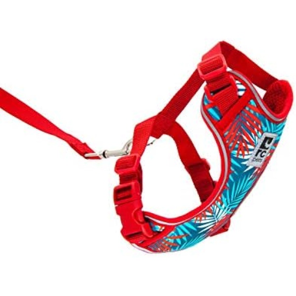 RC Pets Adventure Kitty Harness, Cat Walking Harness, Small, Maldives